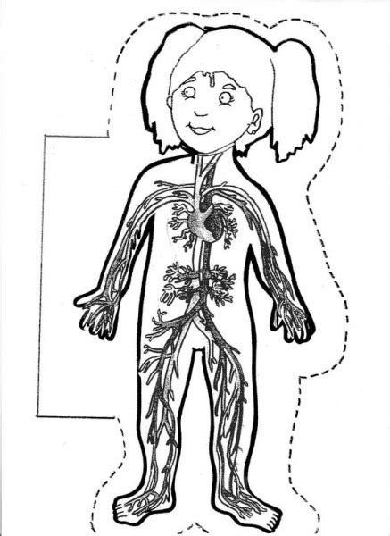 Dibujo Del Aparato Circulatorio Para Colorear: Aprende a Dibujar Fácil, dibujos de Un Aparato Circulatorio, como dibujar Un Aparato Circulatorio para colorear e imprimir