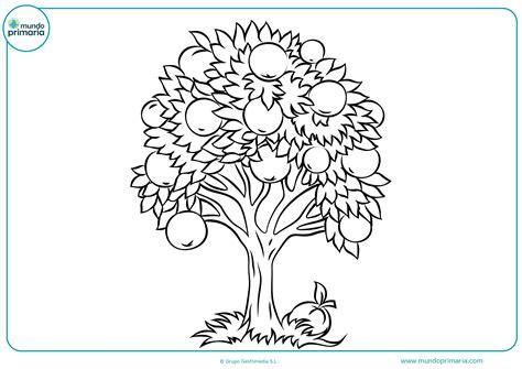 Dibujos de Árboles para Colear [Otoño. Secos. Navidad]: Dibujar Fácil, dibujos de Un Arbol Con Flores, como dibujar Un Arbol Con Flores para colorear