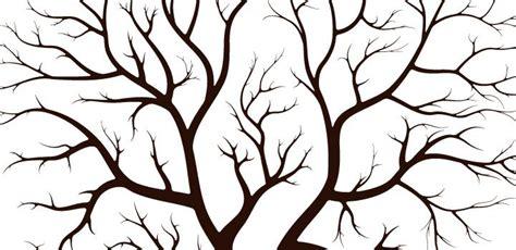 Arbol para dibujar con ramas - Imagui | Dibujos de: Dibujar y Colorear Fácil, dibujos de Un Arbol Con Muchas Ramas, como dibujar Un Arbol Con Muchas Ramas paso a paso para colorear