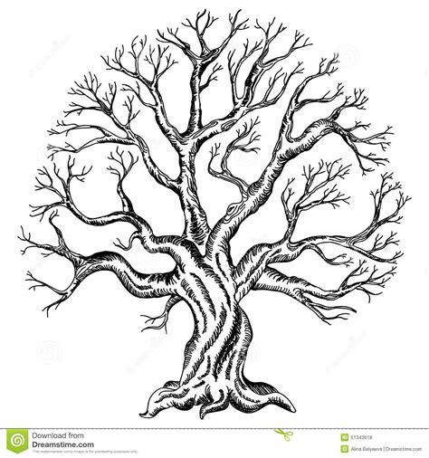 Vector Drawing Of The Tree Stock Vector - Image: 51343618: Aprende como Dibujar Fácil, dibujos de Un Arbol Con Muchas Ramas, como dibujar Un Arbol Con Muchas Ramas para colorear