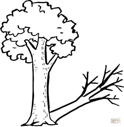 Dibujo de Un árbol y su extraña sombra para colorear: Dibujar y Colorear Fácil con este Paso a Paso, dibujos de Un Arbol Con Sombra, como dibujar Un Arbol Con Sombra para colorear e imprimir