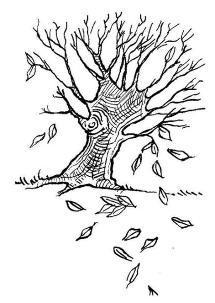 Dibujo para colorear Árbol en otoño - Img 7586: Aprender a Dibujar y Colorear Fácil, dibujos de Un Árbol De Otoño, como dibujar Un Árbol De Otoño para colorear