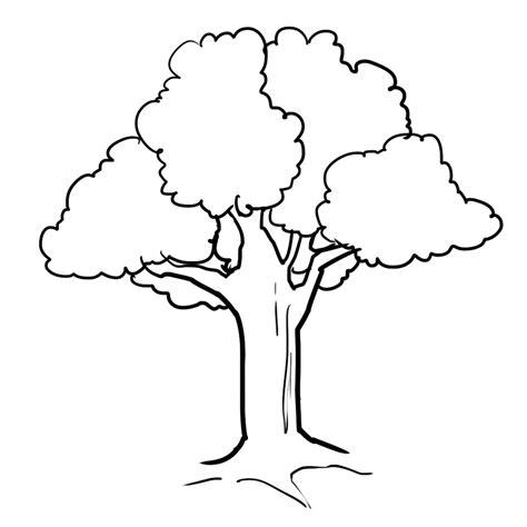 Árbol (Naturaleza) – Colorear dibujos gratis: Aprende a Dibujar Fácil con este Paso a Paso, dibujos de Un Arbol Detayando, como dibujar Un Arbol Detayando para colorear e imprimir