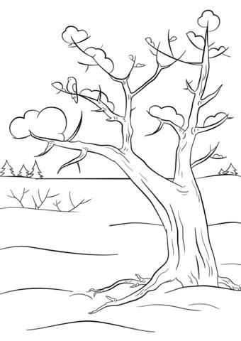 Dibujo de Árbol de invierno para colorear | Dibujos para: Dibujar y Colorear Fácil, dibujos de Un Arbol En Invierno, como dibujar Un Arbol En Invierno para colorear e imprimir