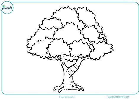 Dibujos de Árboles para Colear [Otoño. Secos. Navidad]: Aprende a Dibujar y Colorear Fácil, dibujos de Un Árbol Frondoso, como dibujar Un Árbol Frondoso para colorear
