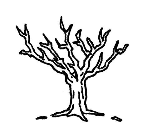 Dibujos de árboles para descargar. imprimir y colorear: Aprender a Dibujar y Colorear Fácil, dibujos de Un Arbol Seco, como dibujar Un Arbol Seco para colorear e imprimir