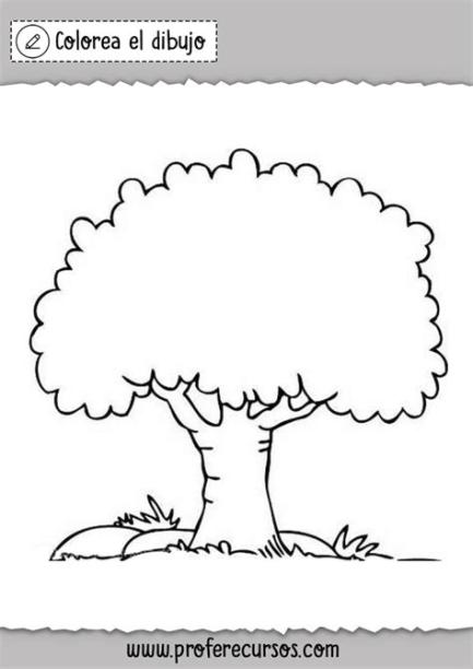 Dibujos de Árboles para Colorear: Dibujar Fácil con este Paso a Paso, dibujos de Un Arbor, como dibujar Un Arbor paso a paso para colorear