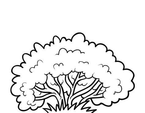 Dibujo de Un arbusto para Colorear - Dibujos.net: Aprende a Dibujar y Colorear Fácil con este Paso a Paso, dibujos de Un Arbusto, como dibujar Un Arbusto para colorear e imprimir