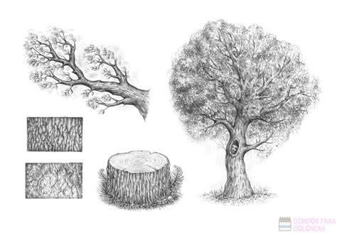 ᐈ Dibujos de arboles【+1000】Para colorear Hoy: Aprende como Dibujar Fácil, dibujos de Un Arbusto Realista, como dibujar Un Arbusto Realista para colorear e imprimir