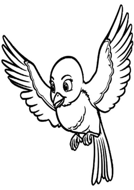 DIBUJOS de AVES para Imprimir y PINTAR | Colorear imágenes: Aprender a Dibujar Fácil, dibujos de Un Ave Volando, como dibujar Un Ave Volando para colorear e imprimir