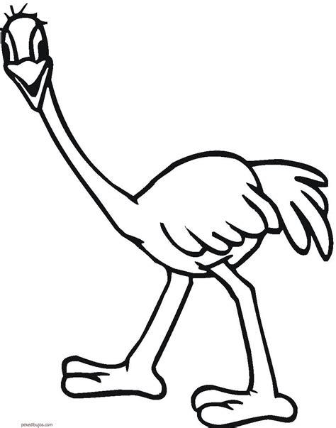 Dibujos de avestruz para colorear: Dibujar y Colorear Fácil, dibujos de Un Avestruz Para Niños, como dibujar Un Avestruz Para Niños para colorear e imprimir