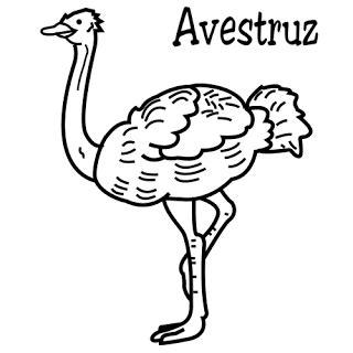 Dibujos de avestruces para colorear | Colorear imágenes: Dibujar y Colorear Fácil, dibujos de Un Avestruz Para Niños, como dibujar Un Avestruz Para Niños paso a paso para colorear