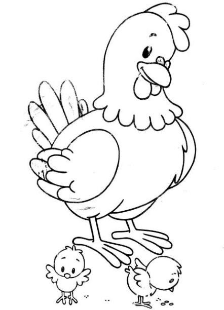 Aves (62) | Colorear imágenes: Aprende a Dibujar Fácil con este Paso a Paso, dibujos de Un Avestruz Para Niños, como dibujar Un Avestruz Para Niños para colorear