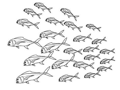 Colorear bandada de peces: Dibujar y Colorear Fácil, dibujos de Un Banco De Peces, como dibujar Un Banco De Peces para colorear