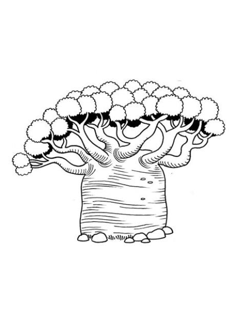 Dibujos de Baobab para colorear imprimir gratis: Aprende como Dibujar y Colorear Fácil con este Paso a Paso, dibujos de Un Baobab, como dibujar Un Baobab para colorear