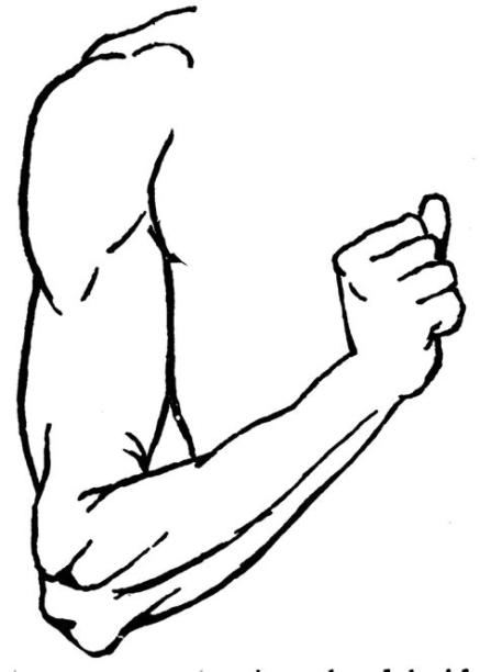 Arm | ClipArt ETC: Dibujar Fácil con este Paso a Paso, dibujos de Un Brazo Doblado, como dibujar Un Brazo Doblado para colorear