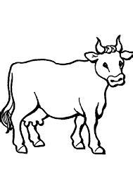 Imagen relacionada | Cow coloring pages. Farm animal: Aprende como Dibujar Fácil, dibujos de Un Buey Para Niños, como dibujar Un Buey Para Niños para colorear