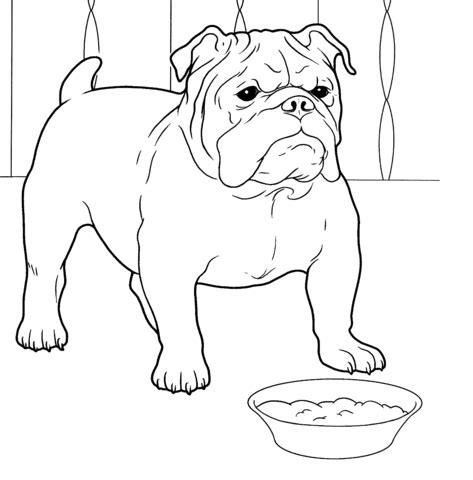 Dibujos Para Colorear Bulldog: Dibujar Fácil con este Paso a Paso, dibujos de Un Bulldog Ingles, como dibujar Un Bulldog Ingles paso a paso para colorear