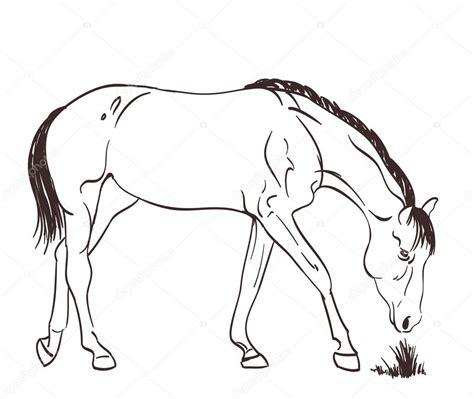 Cavalo comendo grama. ilustração de esboço vetorial: Dibujar Fácil, dibujos de Un Caballo Comiendo Pasto, como dibujar Un Caballo Comiendo Pasto para colorear