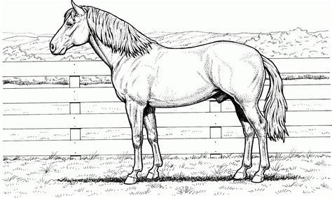 Dibujos de caballos para colorear e imprimir gratis: Aprender como Dibujar y Colorear Fácil con este Paso a Paso, dibujos de Un Caballo Dificil, como dibujar Un Caballo Dificil para colorear