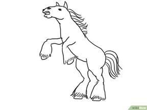 4 formas de dibujar un caballo - wikiHow: Aprende a Dibujar y Colorear Fácil con este Paso a Paso, dibujos de Un Caballo Wikihow, como dibujar Un Caballo Wikihow para colorear