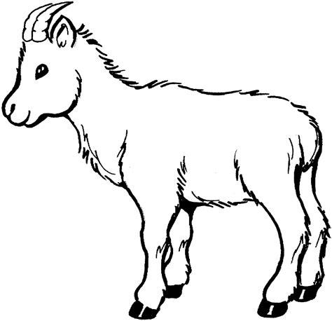 Cabras para dibujar - Imagui: Aprender como Dibujar Fácil, dibujos de Un Cabritillo, como dibujar Un Cabritillo para colorear