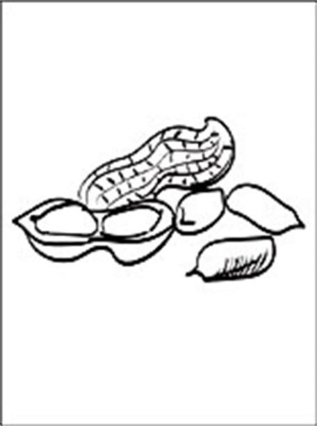 Dibujo de cacahuate o maní para pintar | Dibujos para: Aprende a Dibujar Fácil con este Paso a Paso, dibujos de Un Cacahuate, como dibujar Un Cacahuate paso a paso para colorear