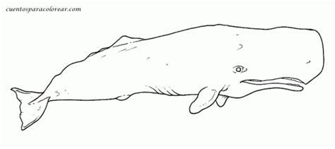 Cachalote Para Colorear: Aprende a Dibujar y Colorear Fácil, dibujos de Un Cachalote, como dibujar Un Cachalote paso a paso para colorear