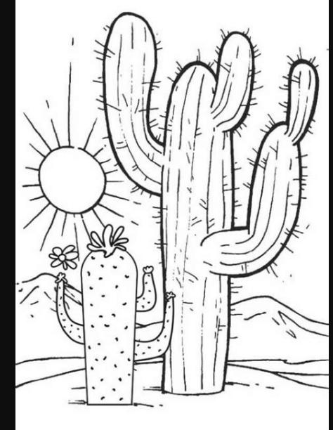 Cómo dibujar Un Cactus Realista 】 Paso a Paso Muy Fácil 2023 - Dibuja Fácil