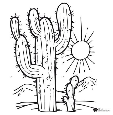 Pin de maria ines espino guzman en coloring pages | Cactus: Aprende como Dibujar Fácil, dibujos de Un Cactus Realista, como dibujar Un Cactus Realista paso a paso para colorear