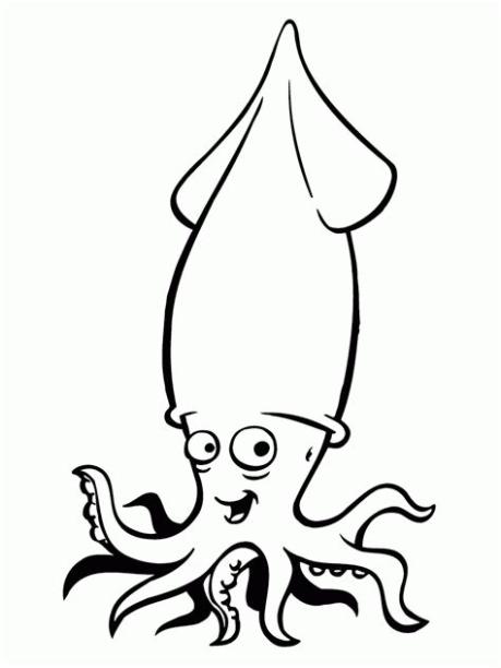 RECURSOS y ACTIVIDADES para Educación Infantil: Dibujos: Aprende como Dibujar y Colorear Fácil, dibujos de Un Calamar, como dibujar Un Calamar para colorear e imprimir
