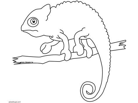 Dibujos de camaleón para colorear: Dibujar Fácil con este Paso a Paso, dibujos de Un Camaleon Para Niños, como dibujar Un Camaleon Para Niños paso a paso para colorear