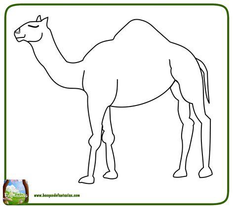 99 DIBUJOS DE CAMELLOS ® Camellos para colorear infantiles: Aprende como Dibujar Fácil con este Paso a Paso, dibujos de Un Camello Infantil, como dibujar Un Camello Infantil para colorear