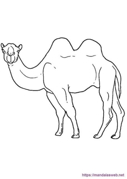 36 Dibujos de Camellos para Colorear e Imprimir 🥇: Aprende a Dibujar y Colorear Fácil con este Paso a Paso, dibujos de Un Camello Para Niños, como dibujar Un Camello Para Niños para colorear