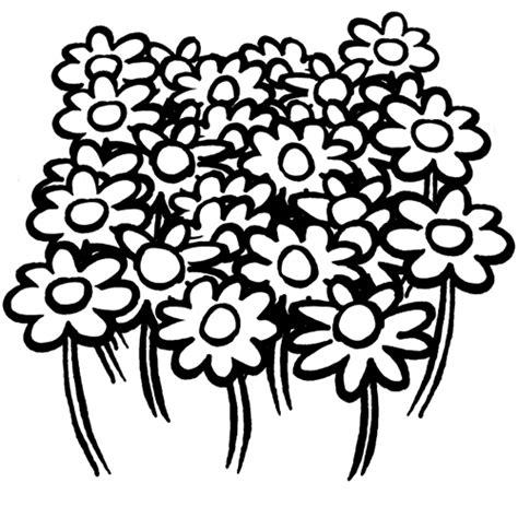Dibujos para colorear: Dibujos de flores para colorear: Aprende como Dibujar Fácil con este Paso a Paso, dibujos de Un Campo De Flores, como dibujar Un Campo De Flores para colorear