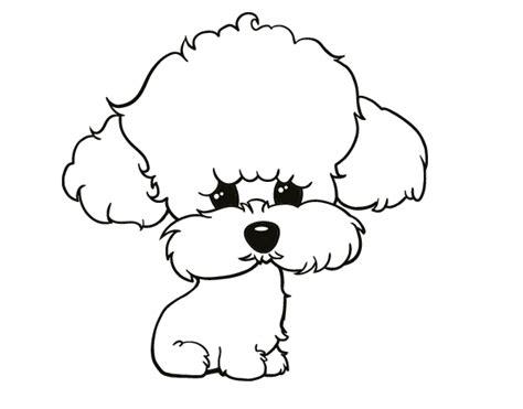Dibujos para colorear de perritos mini toy - Imagui: Aprende como Dibujar y Colorear Fácil, dibujos de Un Caniche Toy, como dibujar Un Caniche Toy para colorear