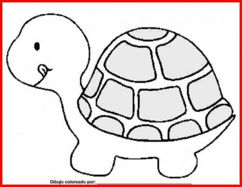 Imágenes de tortugas para pintar | Colorear imágenes: Aprender como Dibujar y Colorear Fácil con este Paso a Paso, dibujos de Un Caparazon De Tortuga, como dibujar Un Caparazon De Tortuga paso a paso para colorear
