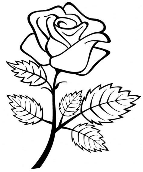 Dibujos para colorear Rose. Imprime la reina de las flores: Aprender a Dibujar y Colorear Fácil, dibujos de Un Capullo De Rosa, como dibujar Un Capullo De Rosa para colorear