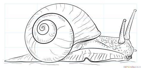 How to draw a Snail | Step by step Drawing tutorials: Aprender como Dibujar Fácil con este Paso a Paso, dibujos de Un Caracol Realista, como dibujar Un Caracol Realista paso a paso para colorear