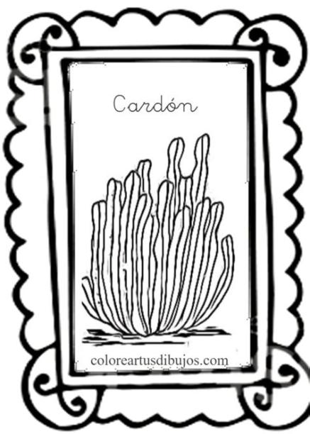 Recursos día de Canarias para niños - colorear tus dibujos: Aprender a Dibujar Fácil con este Paso a Paso, dibujos de Un Cardon, como dibujar Un Cardon para colorear e imprimir