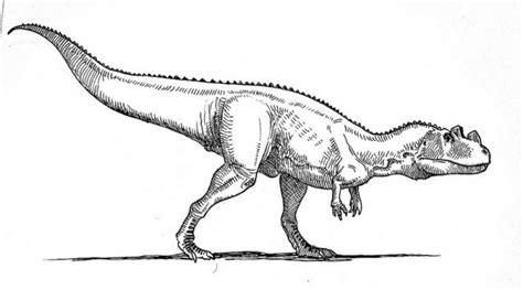 Ceratosaurus Para Colorear: Dibujar Fácil, dibujos de Un Ceratosaurus, como dibujar Un Ceratosaurus para colorear e imprimir