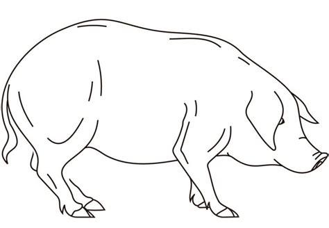Dibujos para colorear: Cerdo imprimible. gratis. para los: Aprende a Dibujar y Colorear Fácil, dibujos de Un Cerdo Con 5 Letras, como dibujar Un Cerdo Con 5 Letras para colorear