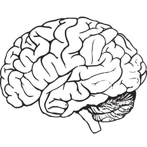 El cerebro para colorear - Imagui: Dibujar Fácil con este Paso a Paso, dibujos de Un Cerebro Para Niños, como dibujar Un Cerebro Para Niños para colorear e imprimir