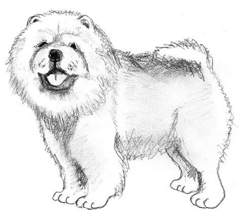 chow chow drawing | Dog sketch. Dog drawing. Dog art: Dibujar Fácil, dibujos de Un Chow Chow, como dibujar Un Chow Chow para colorear