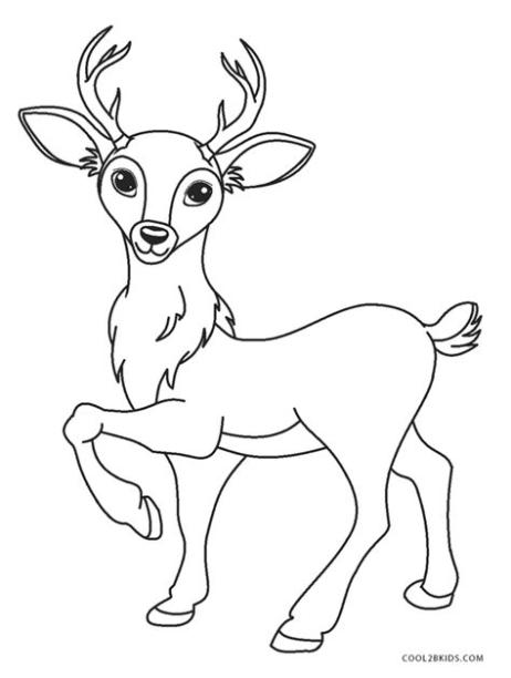 Dibujos de Ciervo para colorear - Páginas para imprimir: Dibujar y Colorear Fácil con este Paso a Paso, dibujos de Un Ciervo Para Niños, como dibujar Un Ciervo Para Niños para colorear