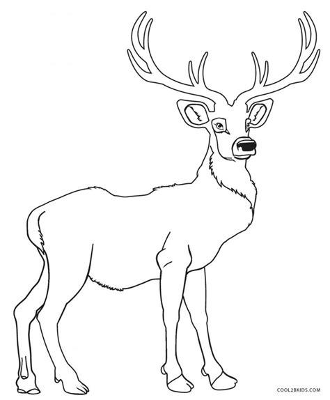 Dibujos de Ciervo para colorear - Páginas para imprimir: Dibujar Fácil, dibujos de Un Ciervo Realista, como dibujar Un Ciervo Realista para colorear
