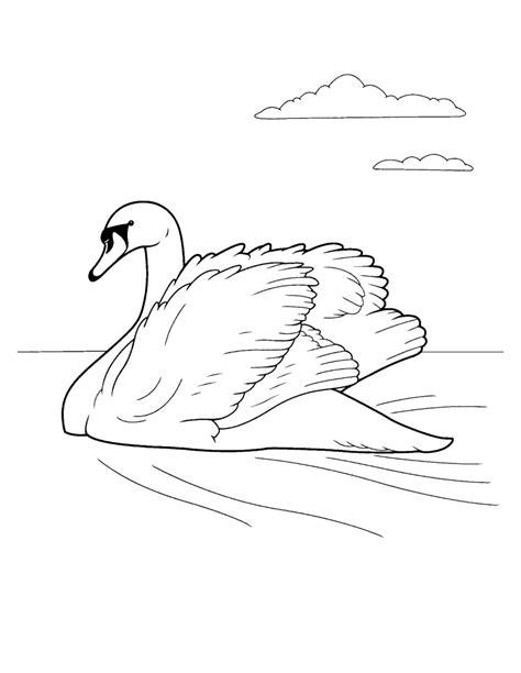 Dibujo para colorear - Cisne: Dibujar Fácil con este Paso a Paso, dibujos de Un Cisne Para Niños, como dibujar Un Cisne Para Niños paso a paso para colorear