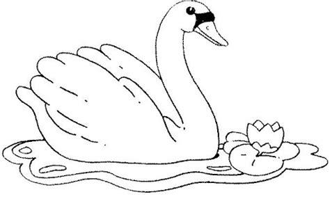 DIBUJOS DE CISNES PARA COLOREAR: Dibujar y Colorear Fácil, dibujos de Un Cisne Para Niños, como dibujar Un Cisne Para Niños para colorear