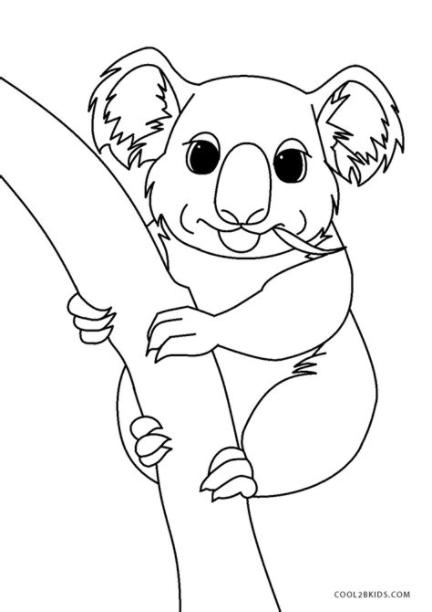 Dibujos de Koala para colorear - Páginas para imprimir gratis: Dibujar y Colorear Fácil, dibujos de Un Coala, como dibujar Un Coala para colorear