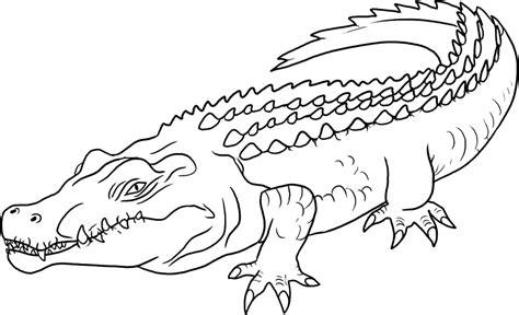 Cocodrilo (Animales) – Colorear dibujos gratis: Aprender a Dibujar y Colorear Fácil con este Paso a Paso, dibujos de Un Cocdrilo, como dibujar Un Cocdrilo para colorear e imprimir